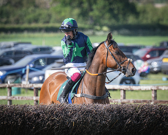 Race 6 - 2m5f Conditions (29 of 70)