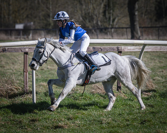 Pony Races (34 of 112)
