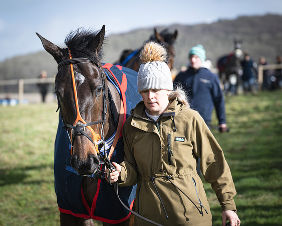 Race 1 - Four and Five year Old Maiden (25 of 137)