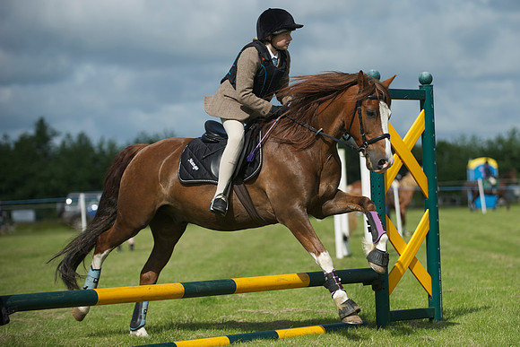 SOHS PC Summer Show at BCA 17th June 2012