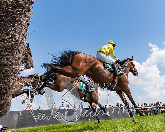 Race 2 - The Maiden  (161 of 442)