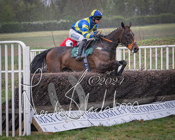 Race 7 - The Jockey Club maiden race for Mares and Fillies only (43 of 96)