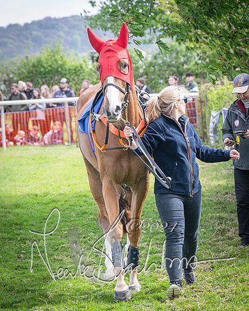 Race 2 - The Elliott of London maiden race (21 of 137)