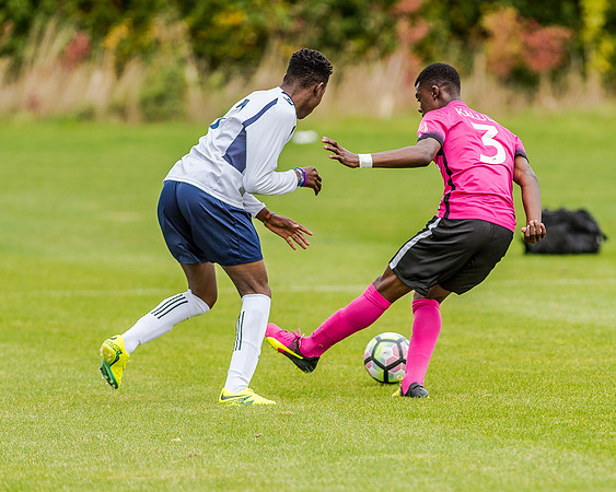 edsv 6-0 191016 (74 of 257)
