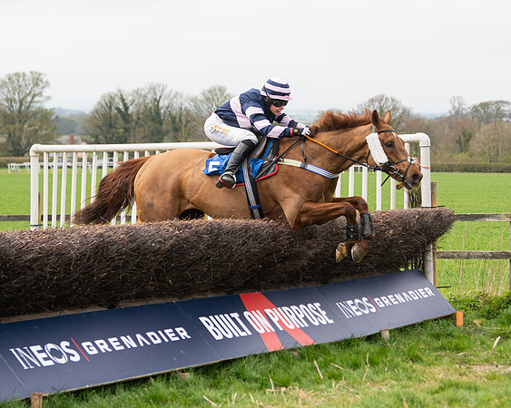 Race 2 - Veteran Horse (100 of 153)