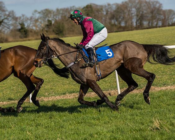Race 1 - Open Maiden Division 2 (19 of 173)