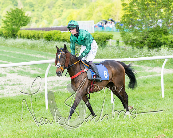 Race 6 - Intermediate (56 of 212)