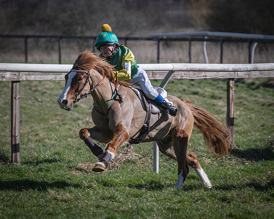 Pony Races (22 of 112)