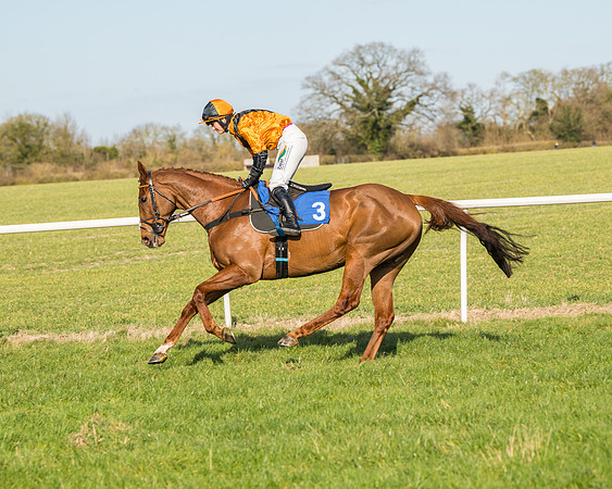 Race 3 - Ladies Open (27 of 156)