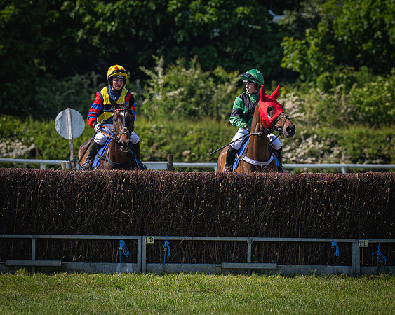 Race 3 The College and County Ladies Open Race (22 of 122)