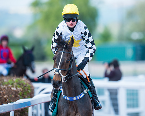 Race 1 - The open Hunter chase  (37 of 95)