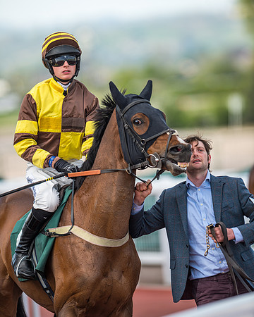 Race 2  -  Intermediate Point to Point Hunters' Steeple Chase (62 of 277)