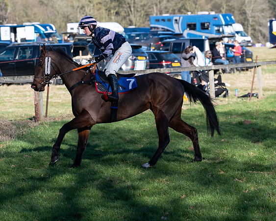 Race 5 - Maiden (8 of 123)