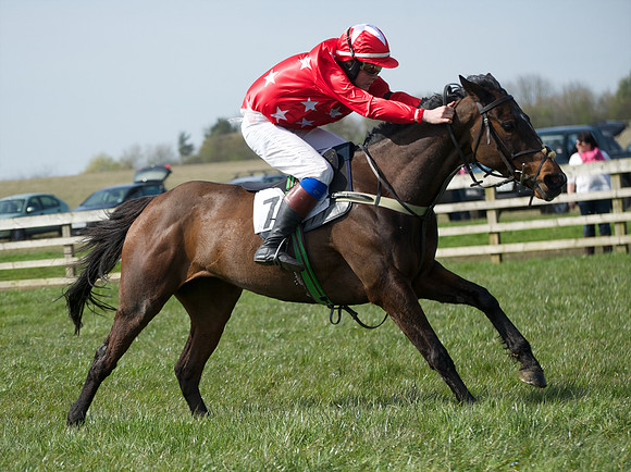 Pony Race 3 -  43