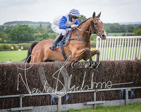 Race 2 - PPORA Members conditions race for Novice riders (96 of 127)