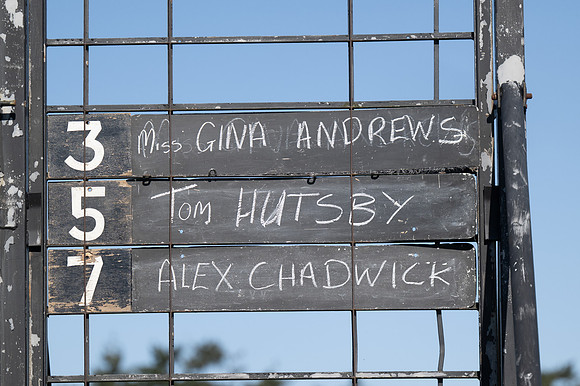 Race 1 - Veteran Horse (1 of 62)