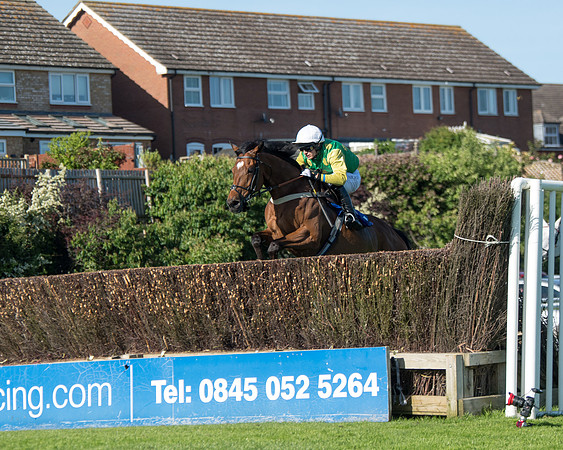 Race 1 - PPSA Open Hunter chase (23 of 78)