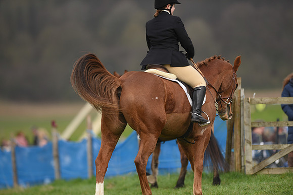 Race 4 - Novice Riders (2 of 112)