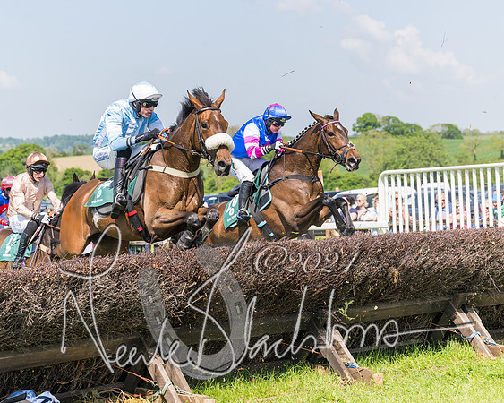 Race 2 - The Maiden  (246 of 442)