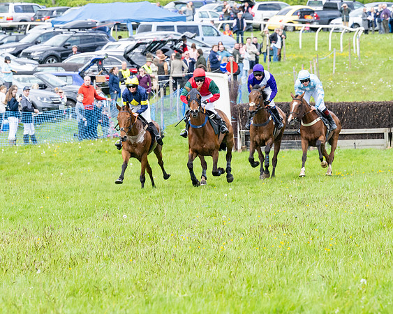 Race 2 - Veteran Horse (40 of 80)
