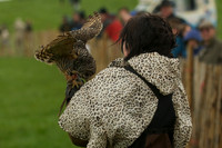 3 - CA Birds of Prey 18