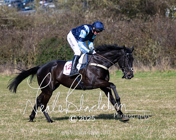 Race 1 - Maiden (41 of 188)