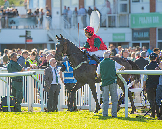 Race 3 - John Corbet Cup (7 of 88)