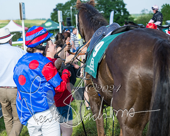 Race 7 - Veteran Horse (205 of 246)