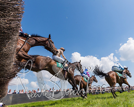 Race 2 - The Maiden  (249 of 442)