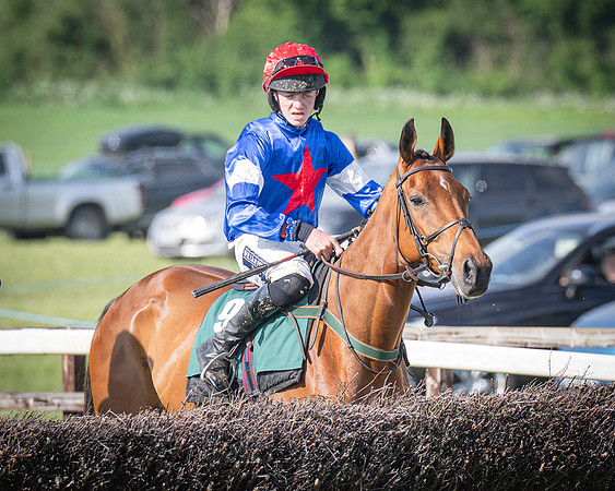 Race 6 - 2m5f Conditions (33 of 70)