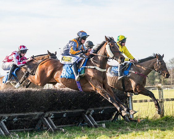 Race 5 - Restricted (51 of 146)