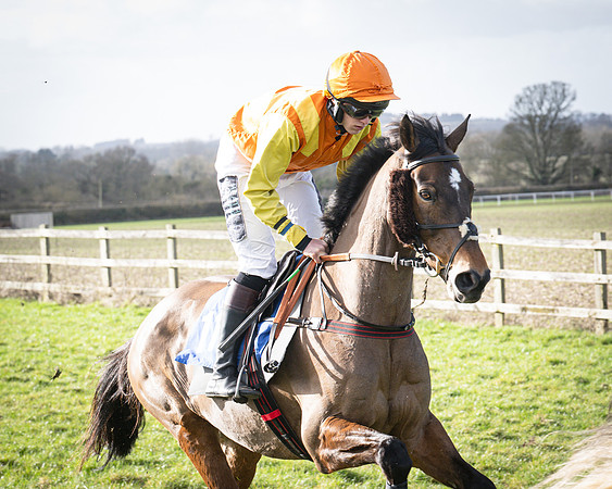 Race 5 - Home counties Grand National (34 of 194)