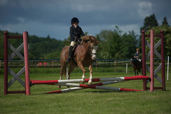 SOHS PC Summer Show at BCA 17th June 2012
