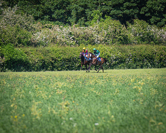 Race 3 The College and County Ladies Open Race (47 of 122)