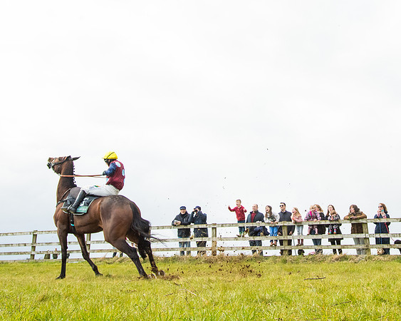 Race 5 - Restricted  (70 of 118)