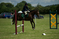 SOHS PC Summer Show at BCA 17th June 2012
