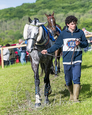 Race 6 - The Maiden  (34 of 448)
