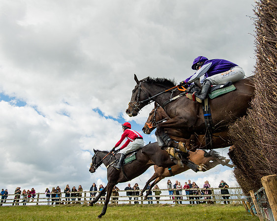 Race 2 - Young Horse Maiden (35 of 104)