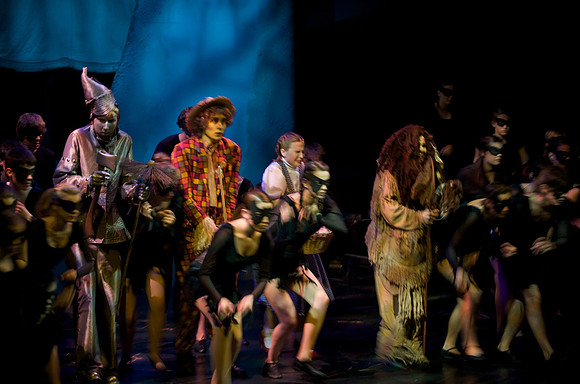 The Wizard of OZ -  311