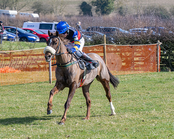 Pony Race 2 - 138cm (37 of 65)