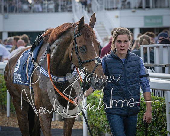 Race 3 - The pointtopoint.co.uk champion novices’ Hunter Chase (9 of 140)