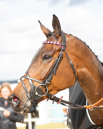 Race 5 - Restricted  (107 of 118)