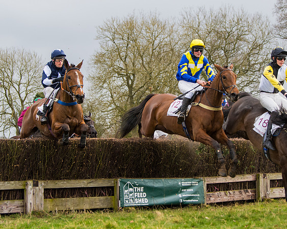 Race 2 - Open Maiden (80 of 128)