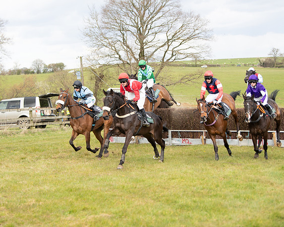 Race 2 - Young Horse Maiden (48 of 104)