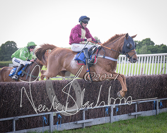 Race 6 - Thorn Plant Hire Maiden Race (104 of 129)