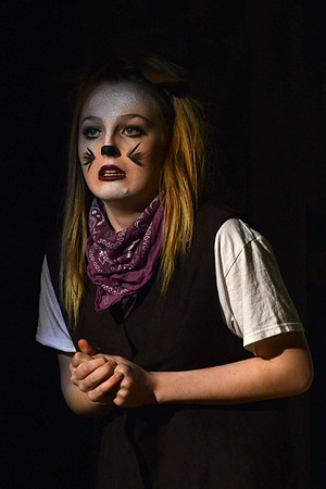 Wind in the Willows - Act-2  147