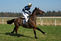 Races 2 - Conditions 8