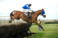 Southern Grand National  18