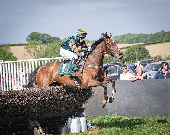 Race 5 - Restricted (96 of 116)