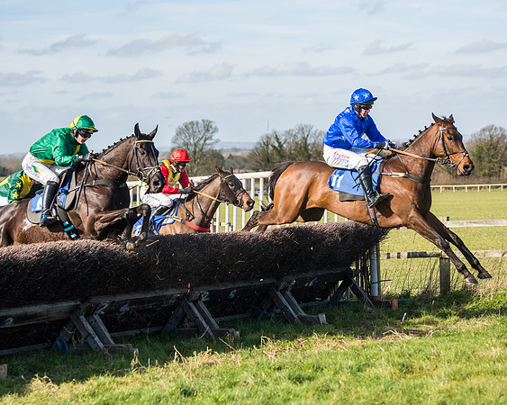 Race 1 - Open Maiden Division 1 (91 of 170)